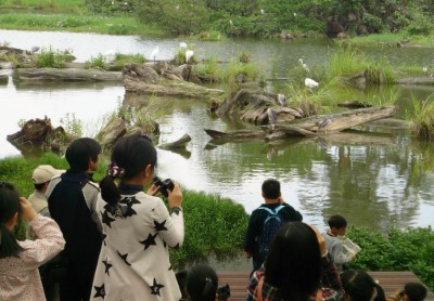 邀請親子同遊林場，羅東自然教育中心「木要這樣玩+池畔賞鳥趣」！